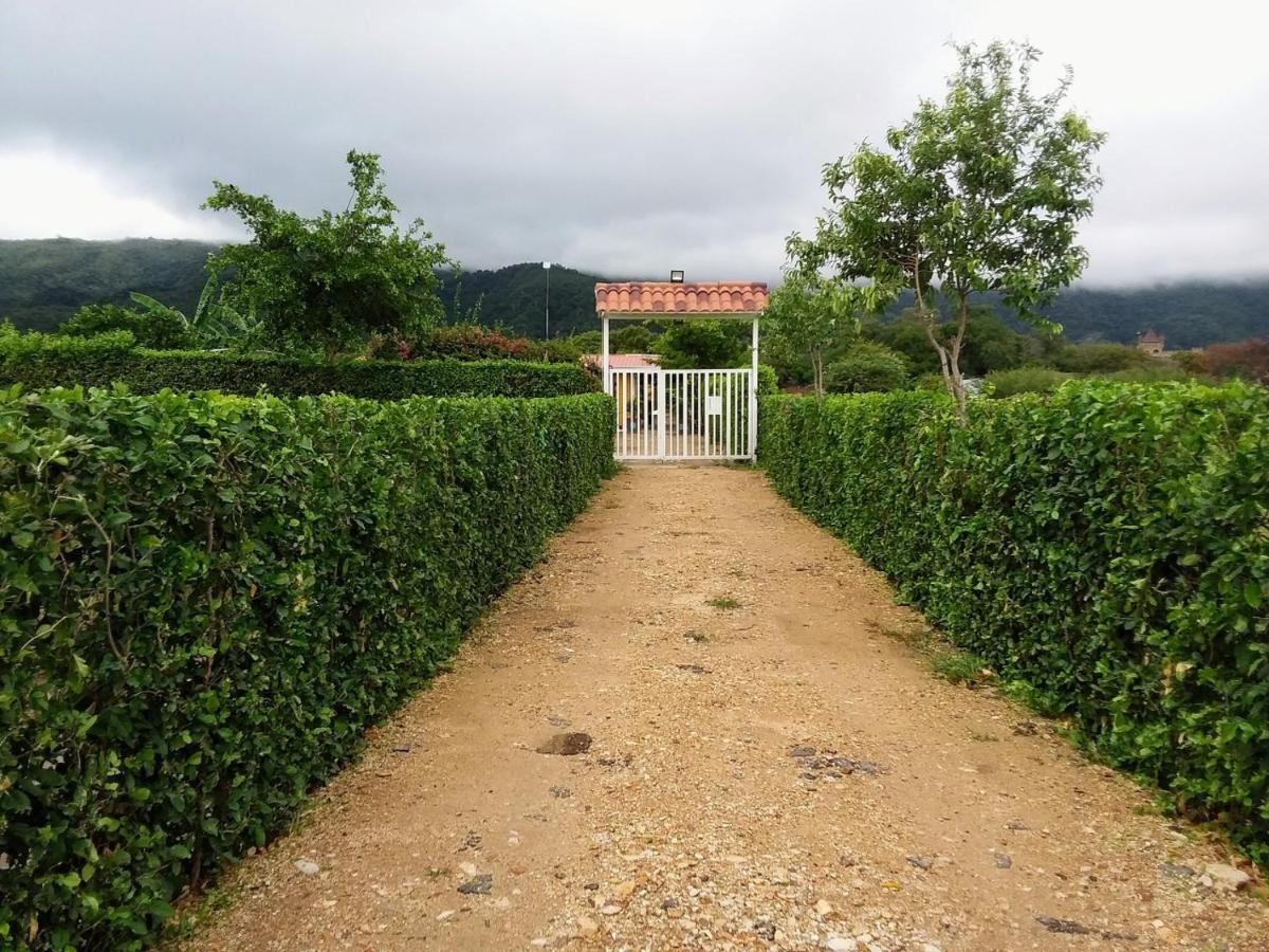 C&H Casa Campestre El Oasis Ricaurte Girardot Bed and Breakfast Εξωτερικό φωτογραφία