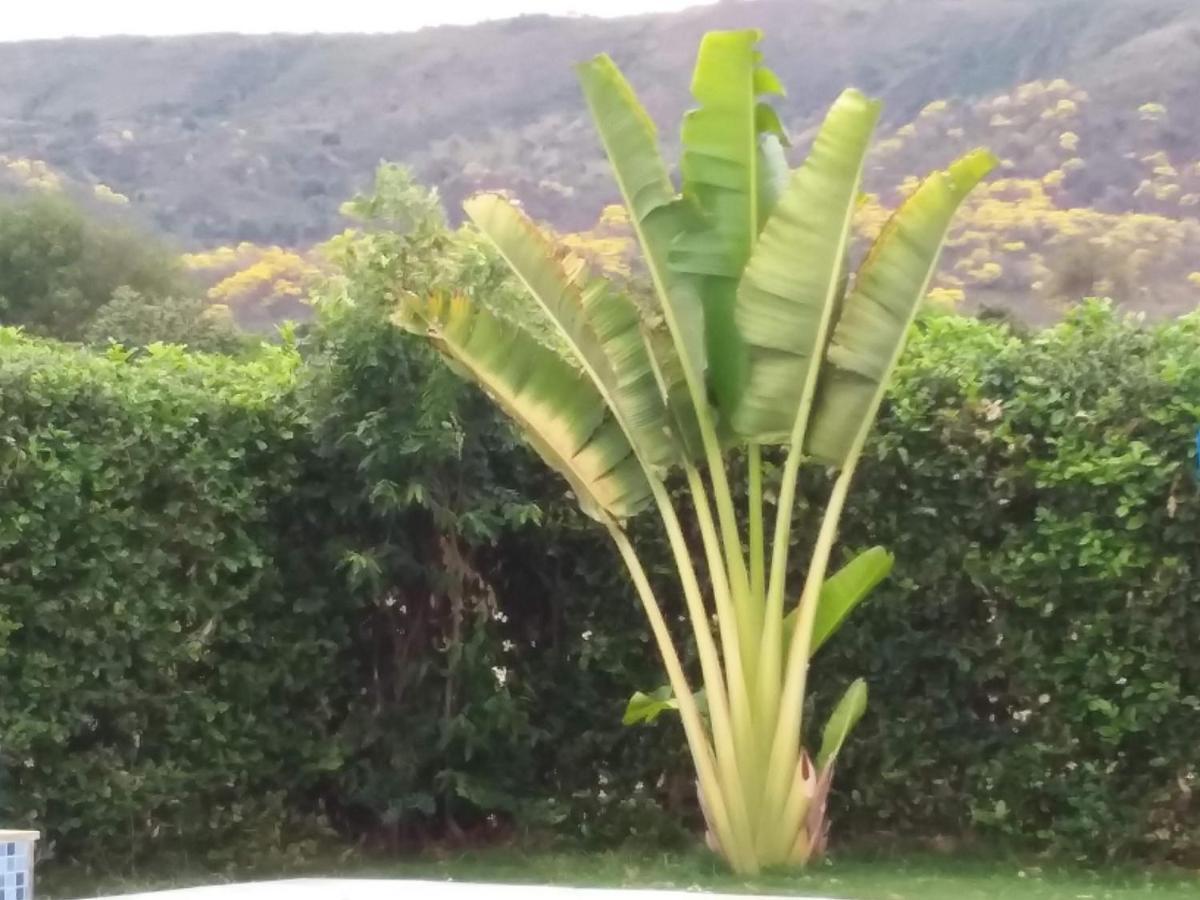 C&H Casa Campestre El Oasis Ricaurte Girardot Bed and Breakfast Εξωτερικό φωτογραφία